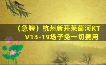 海南夜总会招聘
